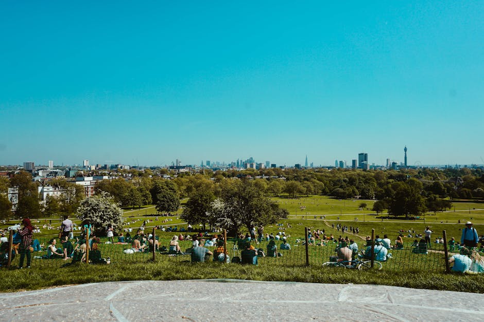 Primrose Hill Regents Park rubbish clearance tips for NW1 flats