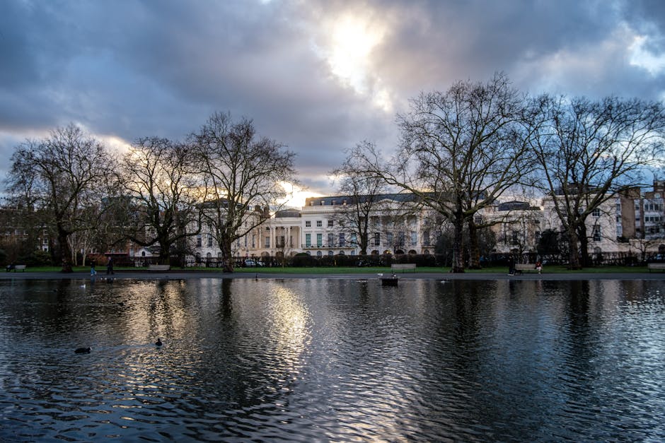 Regents Park NW1 rubbish removal guide for Park Square homes